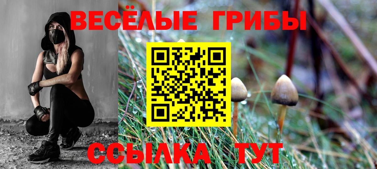 Галлюциногенные грибы ЛСД  Вход с VPN  Ефремов  Галлюциногенные грибы GOLDEN TEACHER 